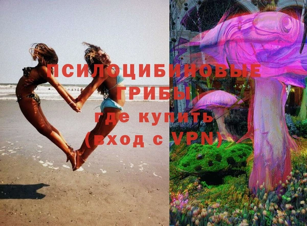 Альфа ПВП Арсеньев