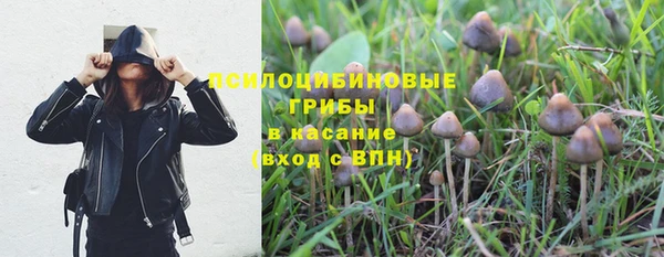 индика Тутаев
